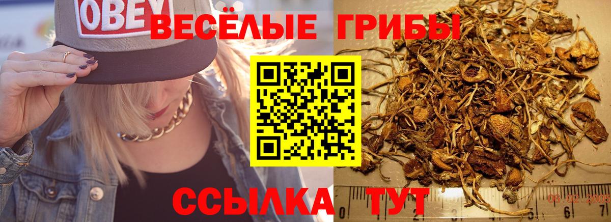 Галлюциногенные грибы Psilocybe  Вход с VPN  Калуга 