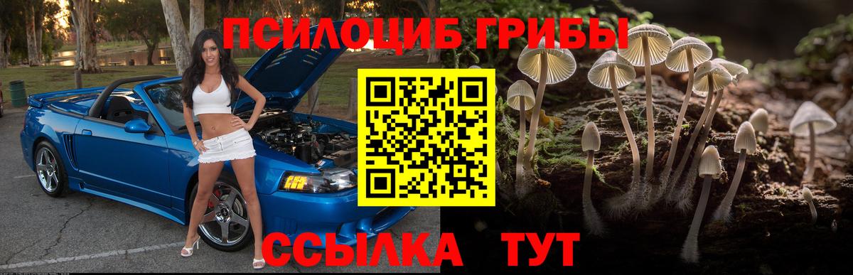 Галлюциногенные грибы MAGIC MUSHROOMS Калуга